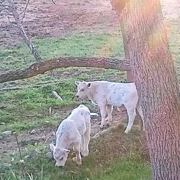 Meet your Posher, Darrell - Picture 1 of 1